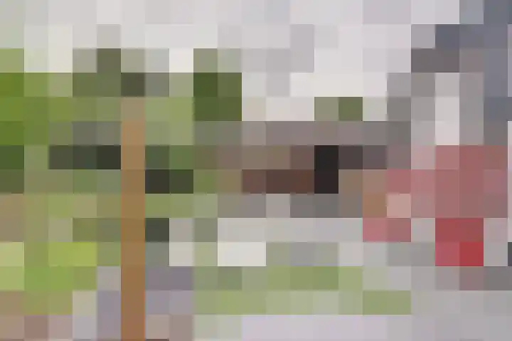 De Koningshof 24 Swifterbant thumbnail 31