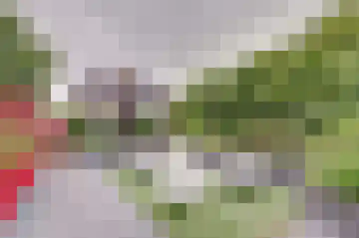 De Koningshof 24 Swifterbant thumbnail 34