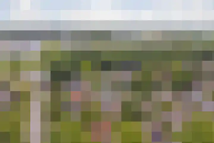 De Koningshof 24 Swifterbant thumbnail 38