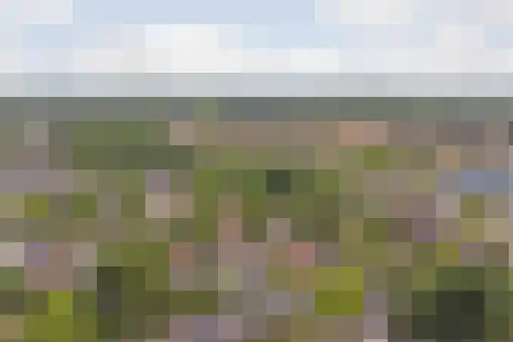 De Koningshof 24 Swifterbant thumbnail 39