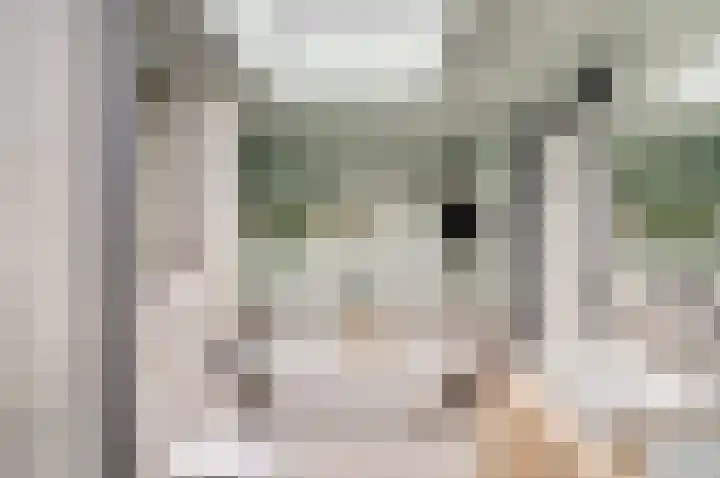 De Koningshof 24 Swifterbant thumbnail 4