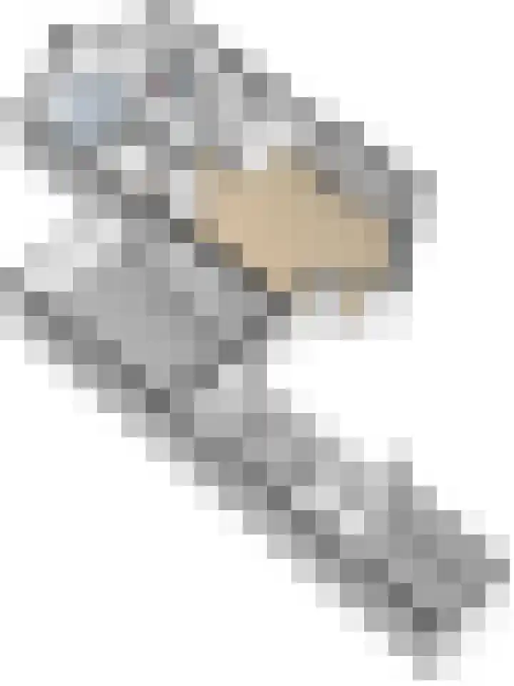De Koningshof 24 Swifterbant thumbnail 49
