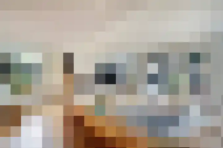 De Koningshof 24 Swifterbant thumbnail 8