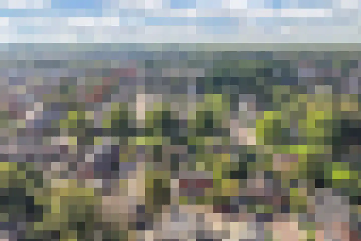 De Koningshof 3 Swifterbant thumbnail 10