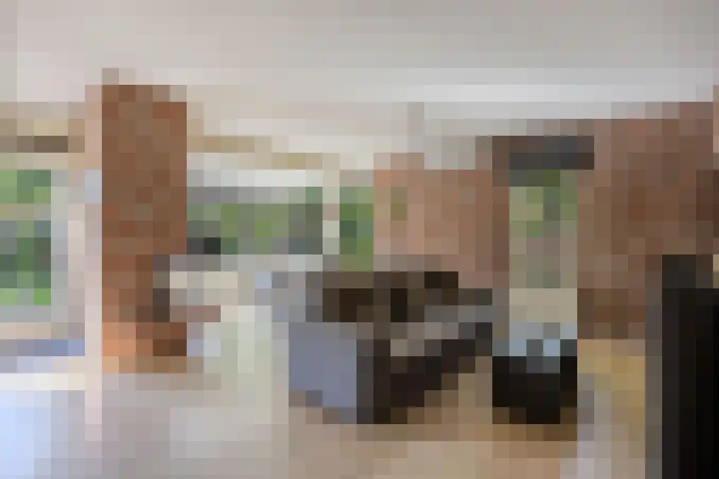 De Koningshof 3 Swifterbant thumbnail 15
