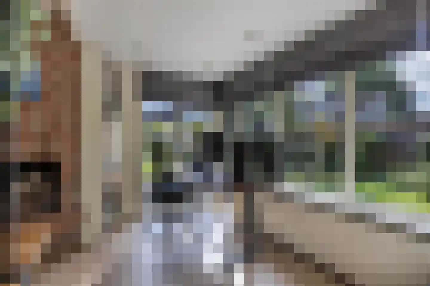 De Koningshof 3 Swifterbant thumbnail 18