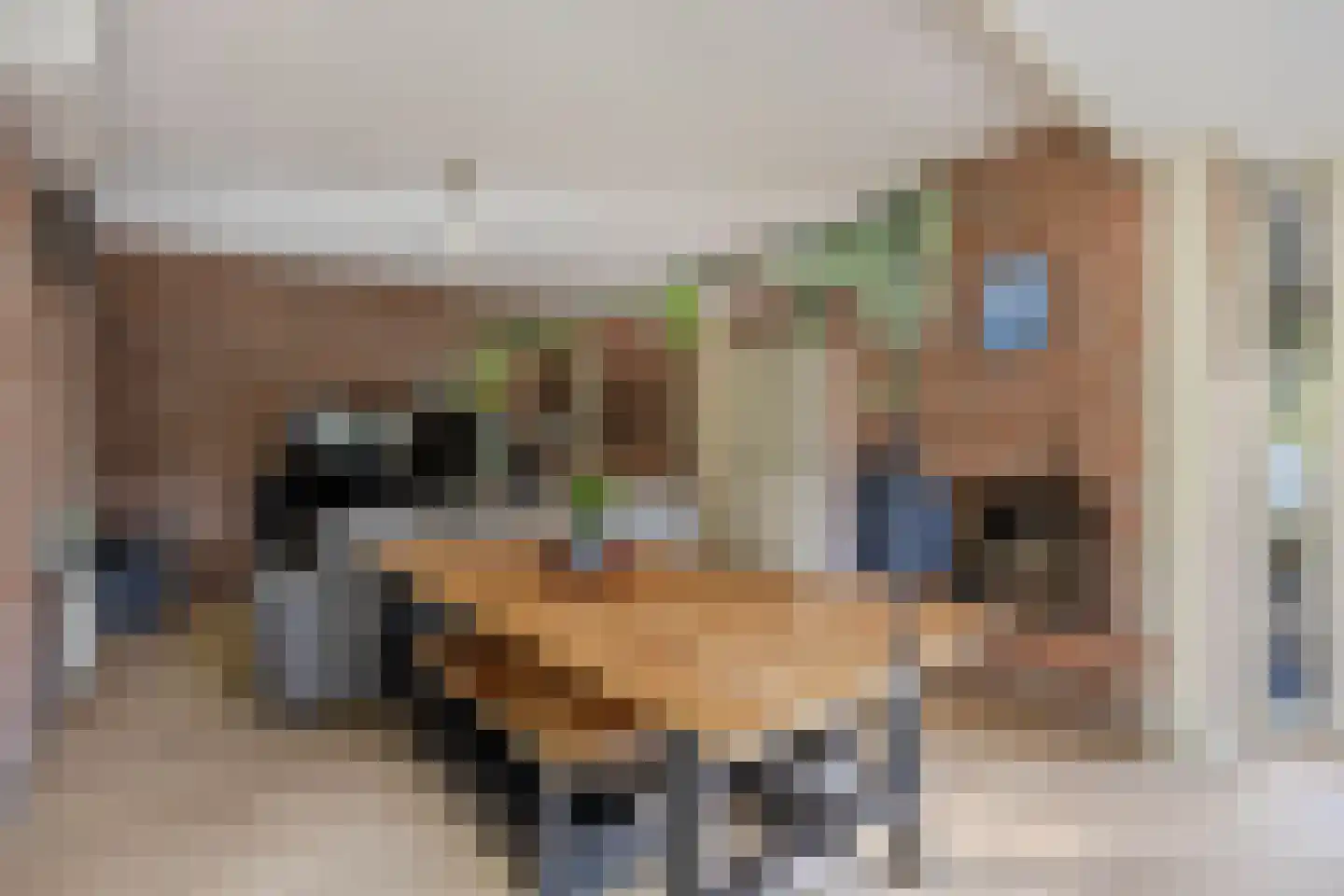 De Koningshof 3 Swifterbant thumbnail 19