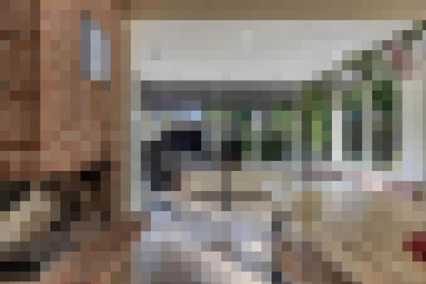 De Koningshof 3 Swifterbant thumbnail 21