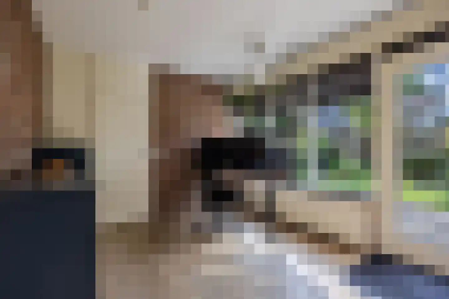 De Koningshof 3 Swifterbant thumbnail 22