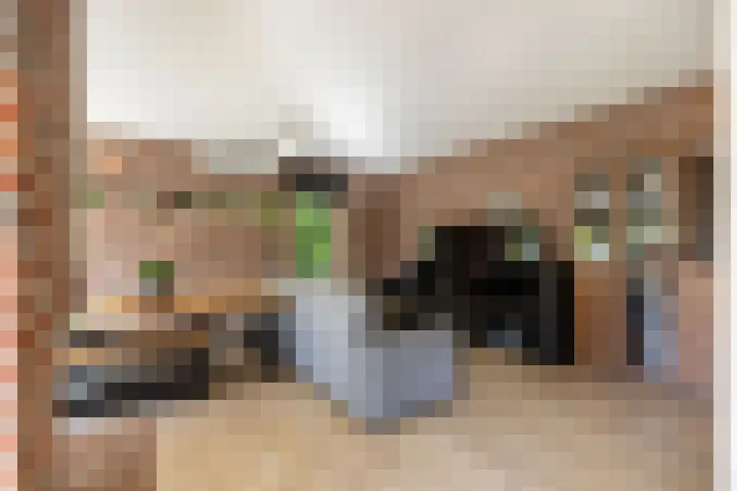 De Koningshof 3 Swifterbant thumbnail 25