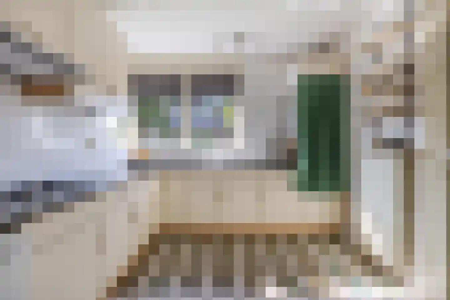 De Koningshof 3 Swifterbant thumbnail 26