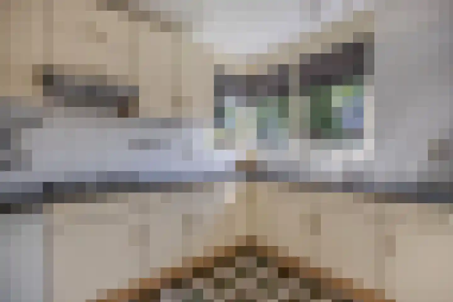 De Koningshof 3 Swifterbant thumbnail 27