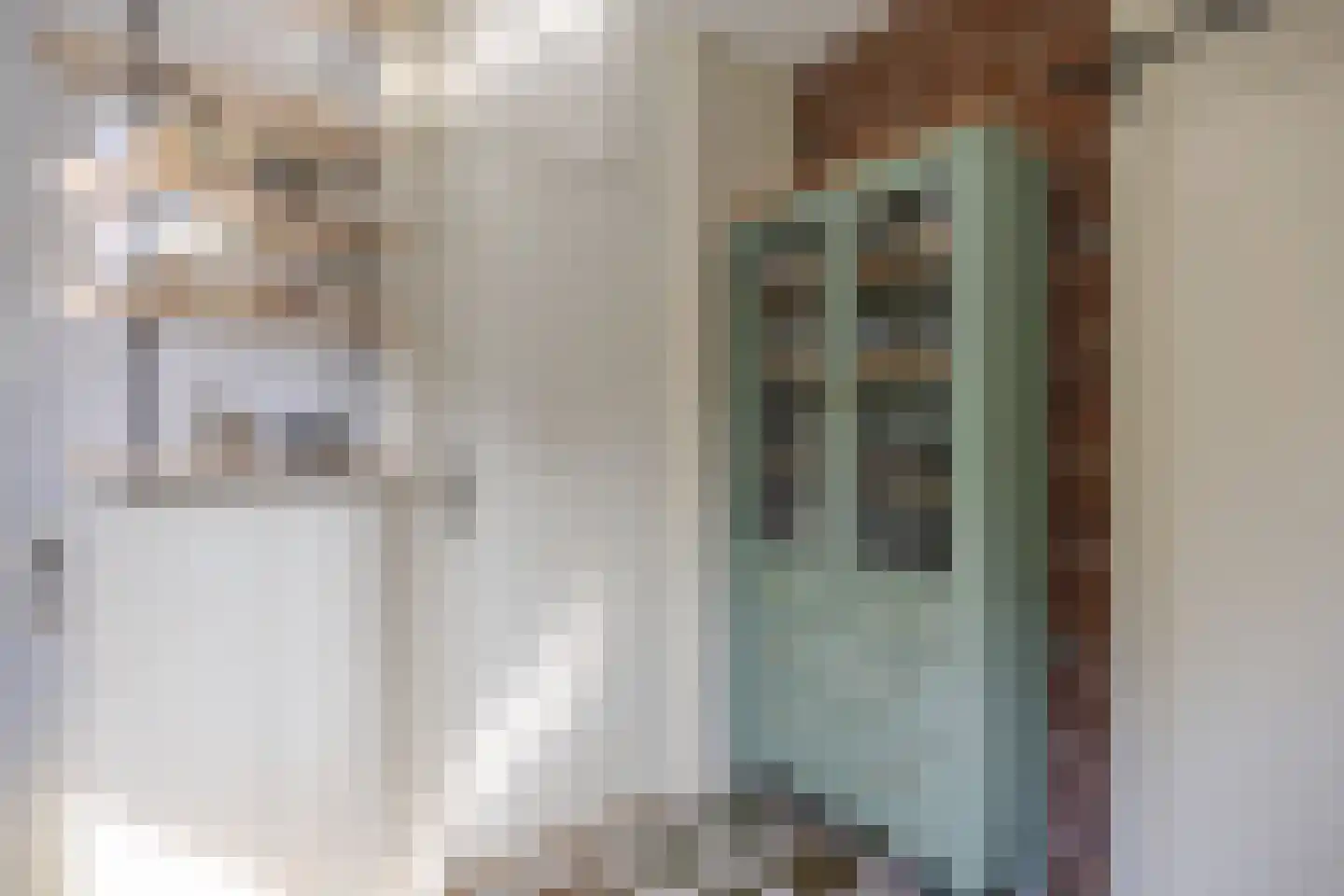 De Koningshof 3 Swifterbant thumbnail 30