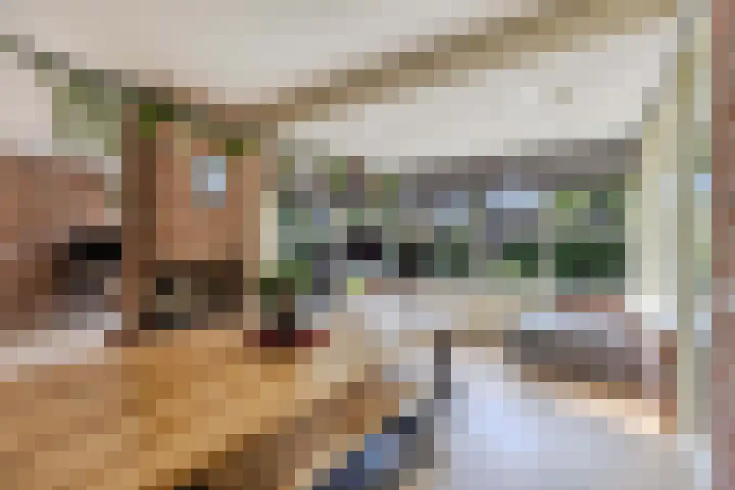 De Koningshof 3 Swifterbant thumbnail 4