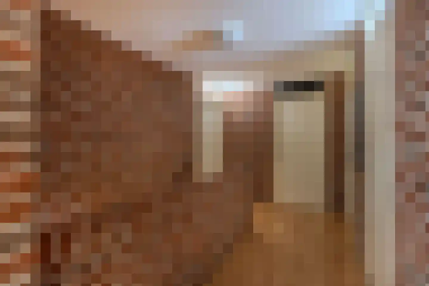 De Koningshof 3 Swifterbant thumbnail 40