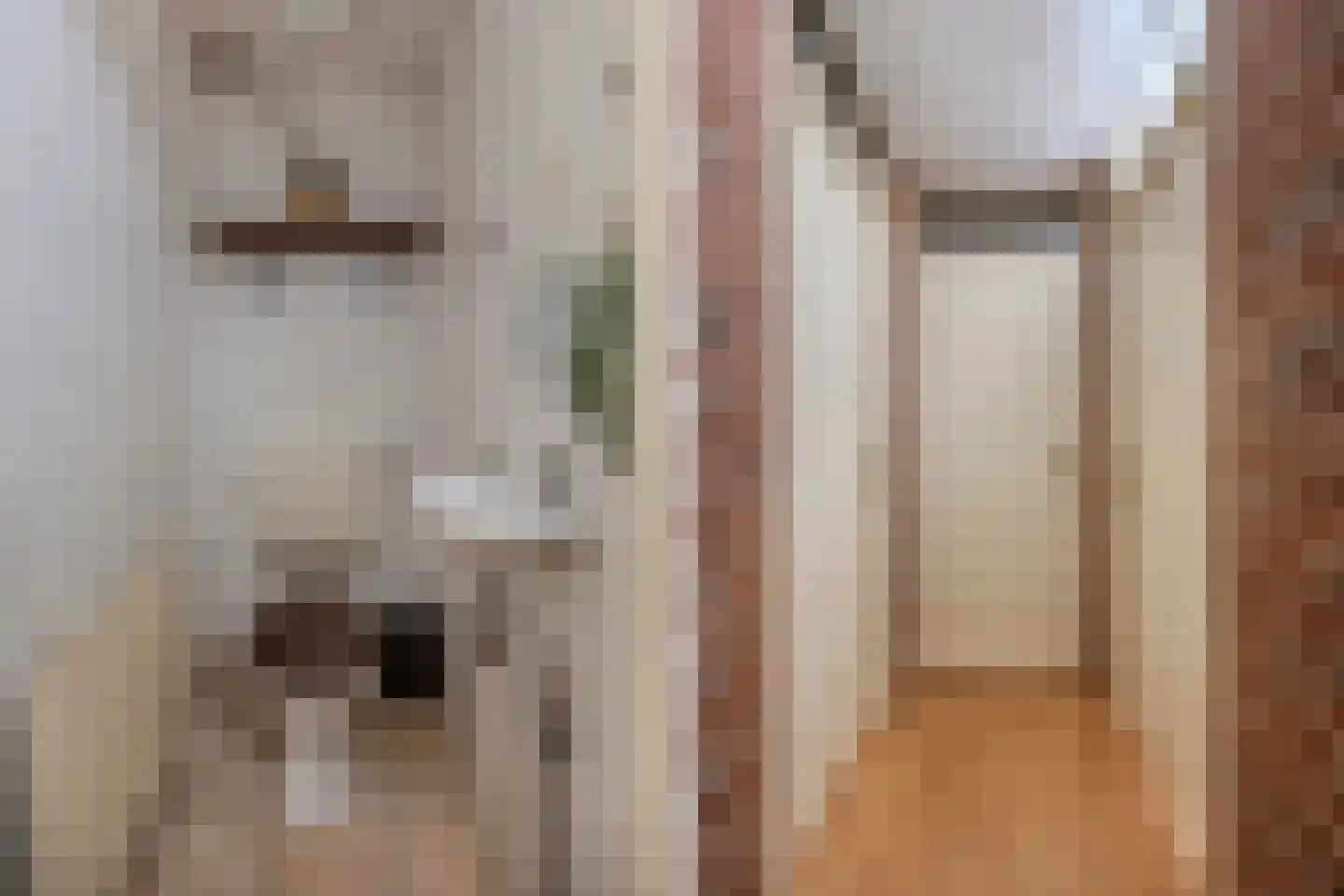 De Koningshof 3 Swifterbant thumbnail 41