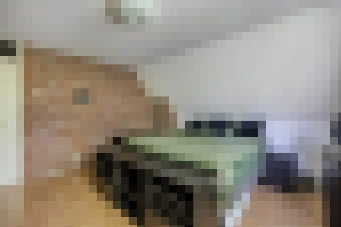 De Koningshof 3 Swifterbant thumbnail 43