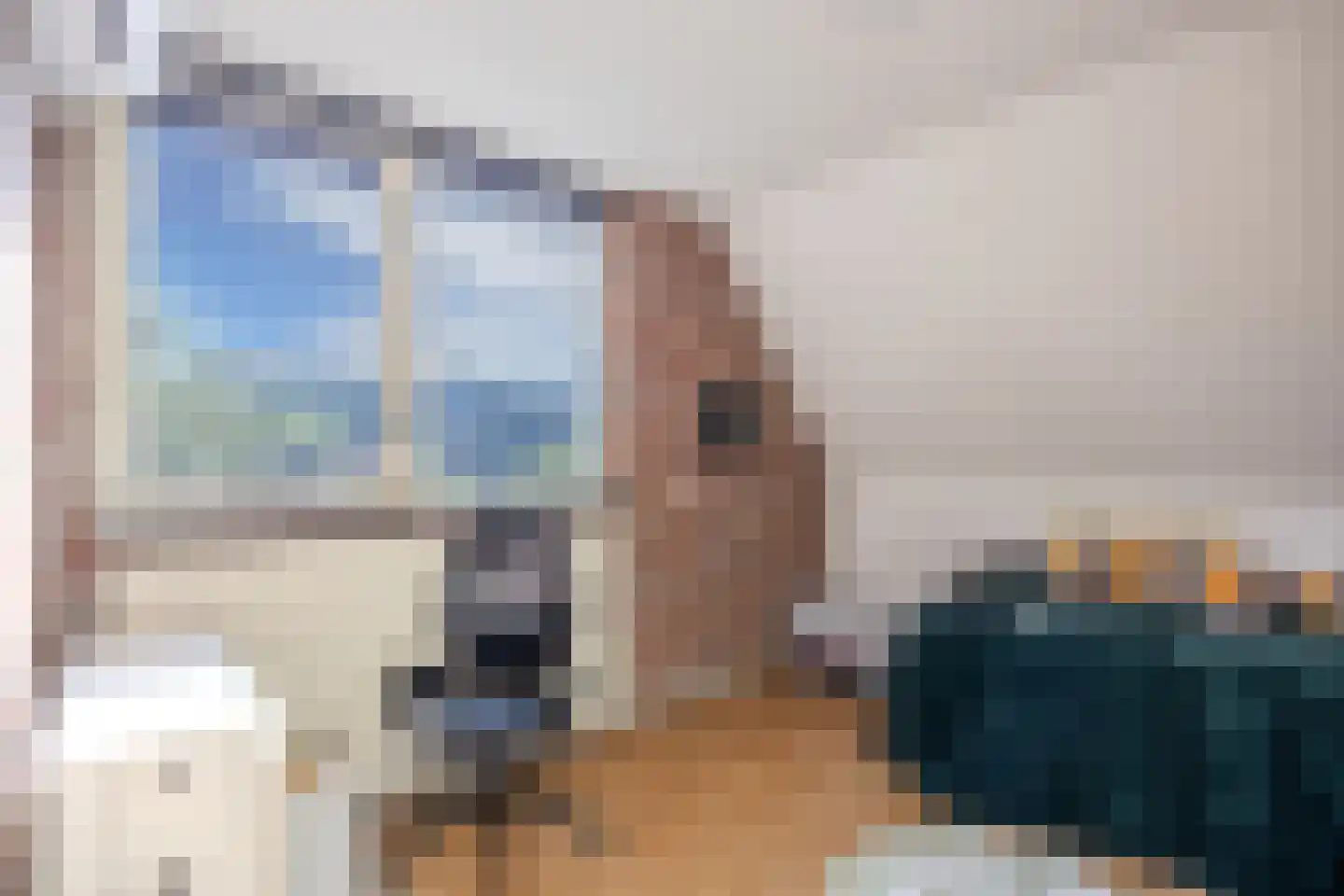 De Koningshof 3 Swifterbant thumbnail 45