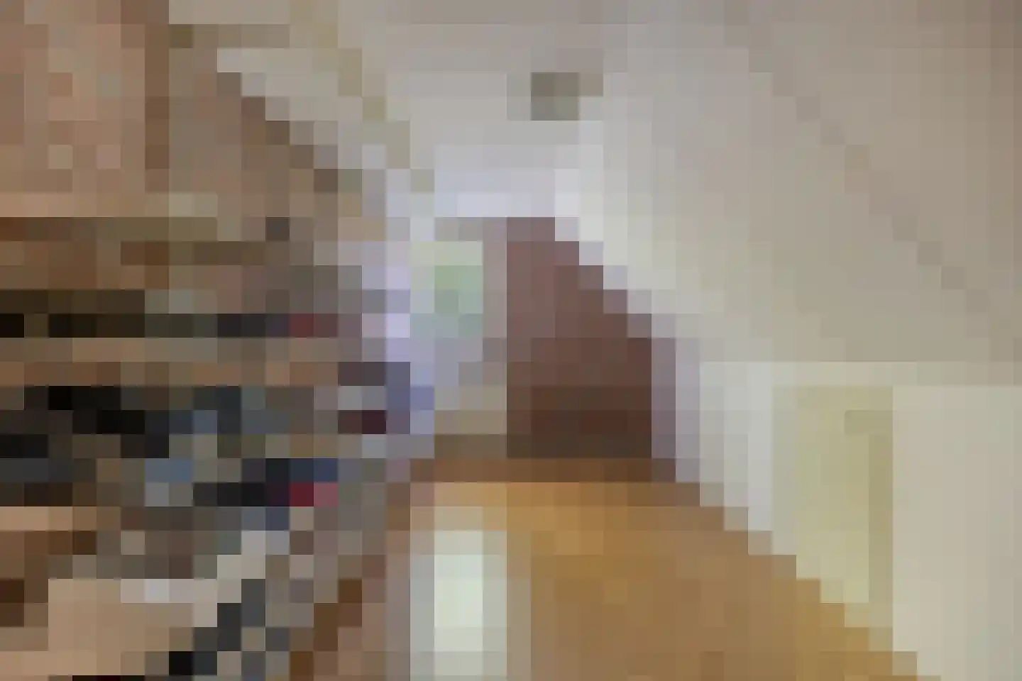 De Koningshof 3 Swifterbant thumbnail 47