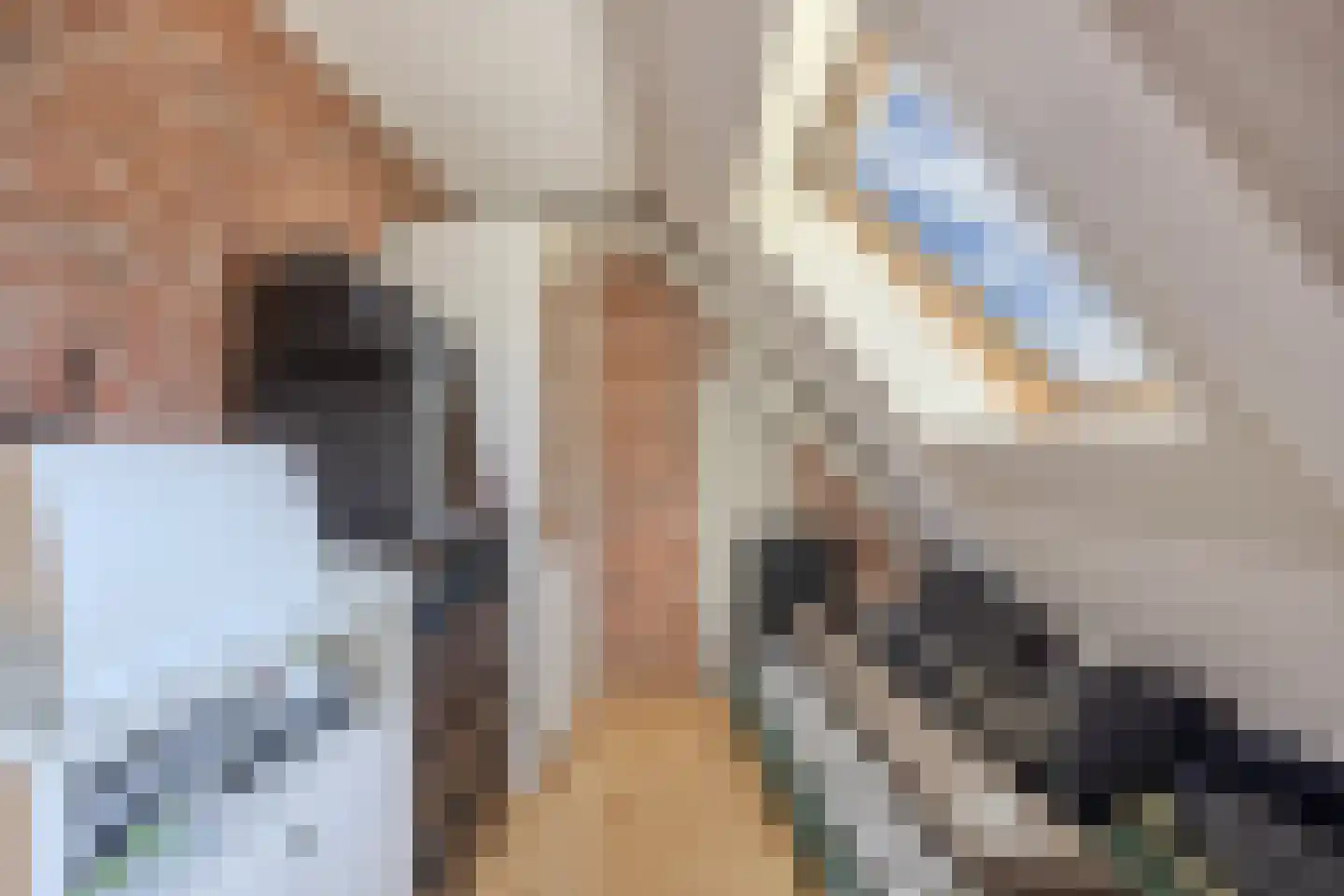 De Koningshof 3 Swifterbant thumbnail 49