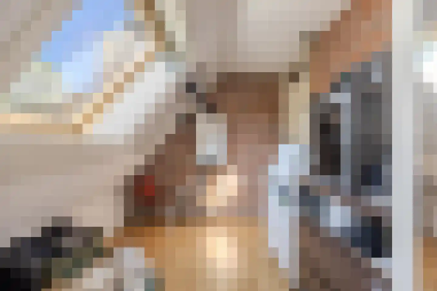 De Koningshof 3 Swifterbant thumbnail 50