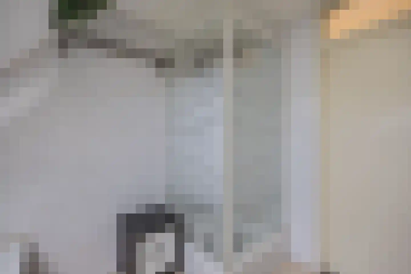 De Koningshof 3 Swifterbant thumbnail 54