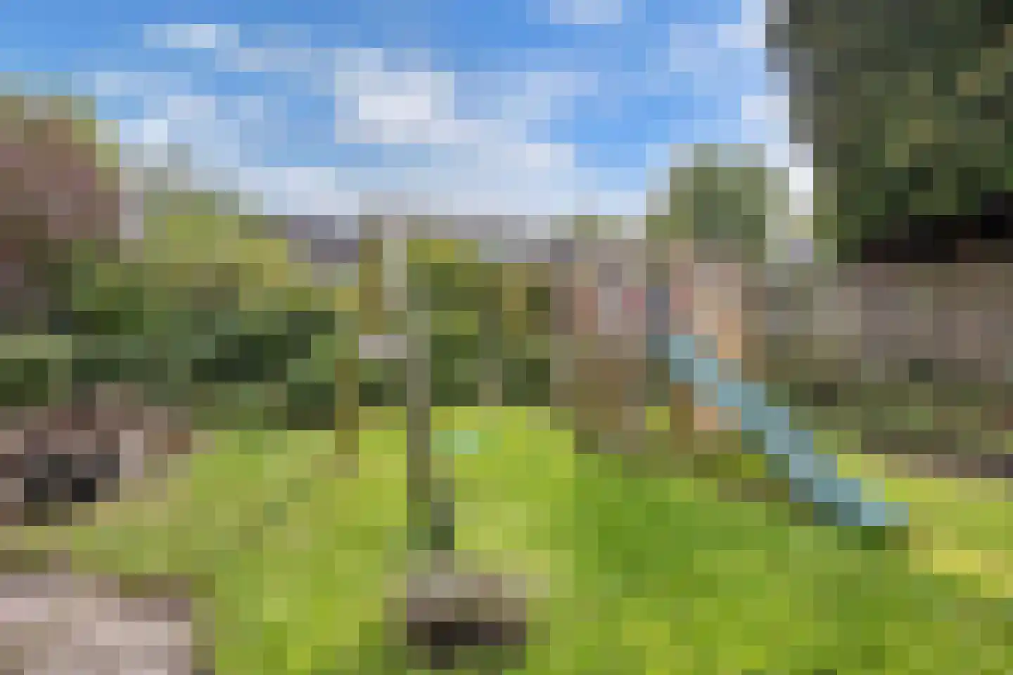 De Koningshof 3 Swifterbant thumbnail 58