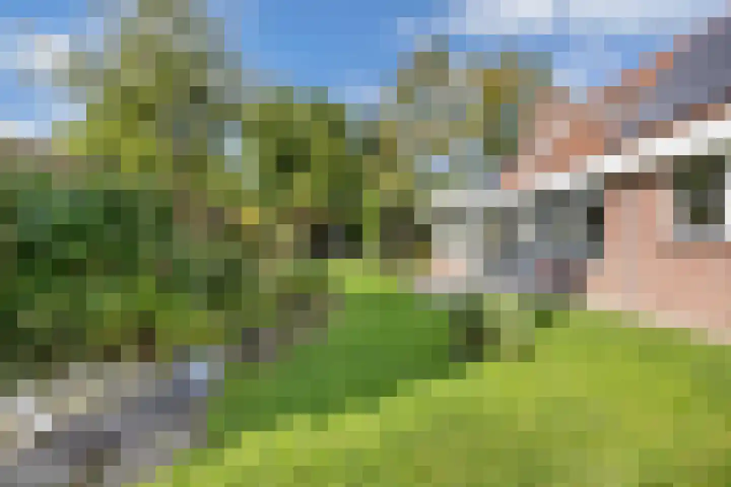 De Koningshof 3 Swifterbant thumbnail 59