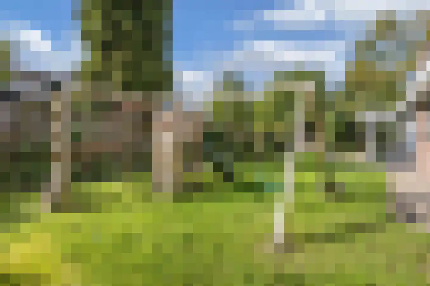 De Koningshof 3 Swifterbant thumbnail 60