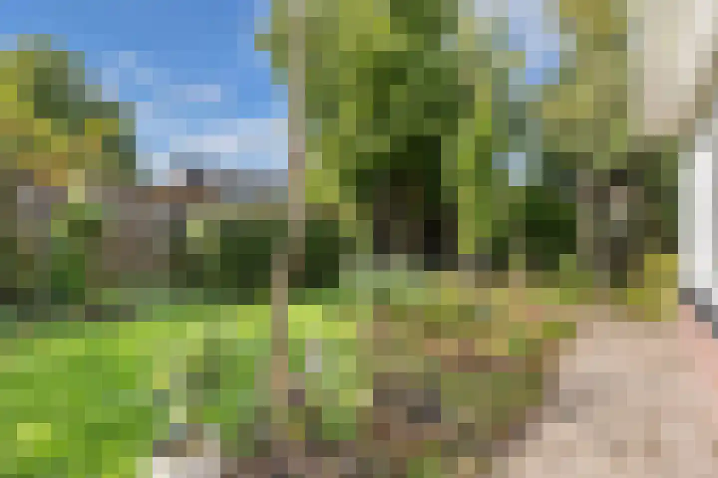 De Koningshof 3 Swifterbant thumbnail 61
