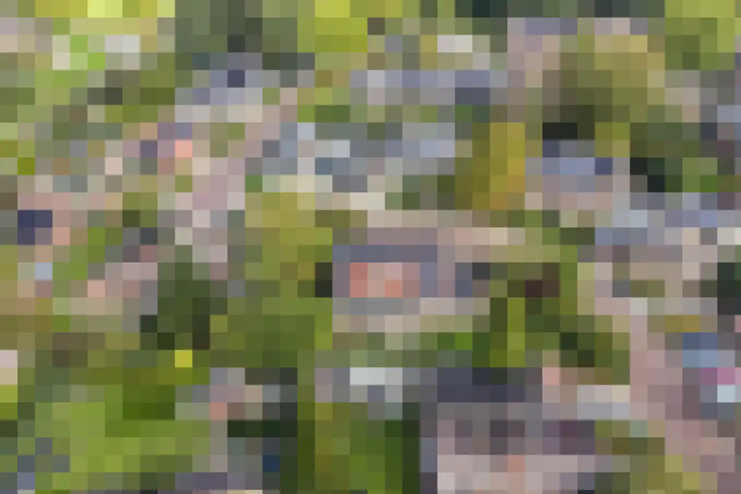 De Koningshof 3 Swifterbant thumbnail 65