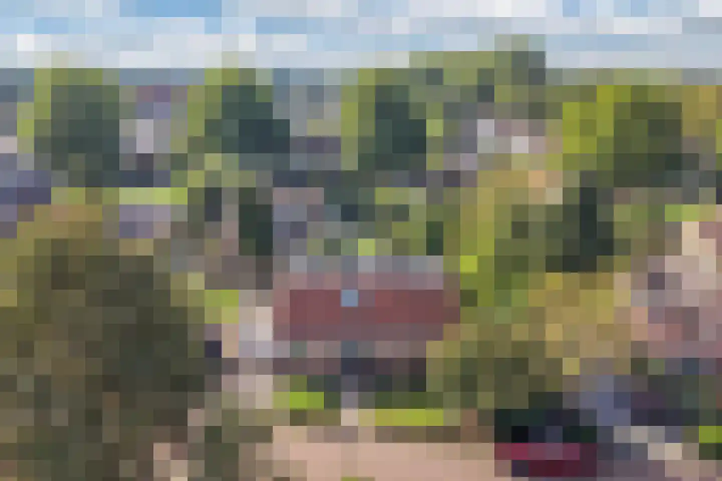 De Koningshof 3 Swifterbant thumbnail 8