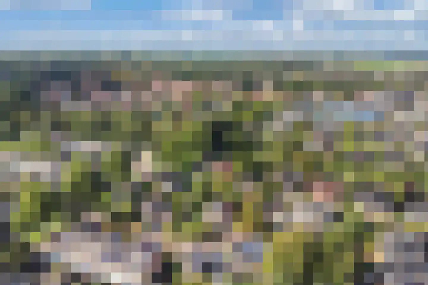 De Koningshof 3 Swifterbant thumbnail 9