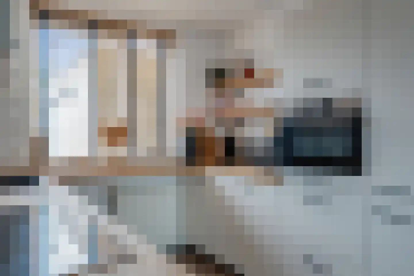 De Koningshof 5 Zwartsluis thumbnail 11