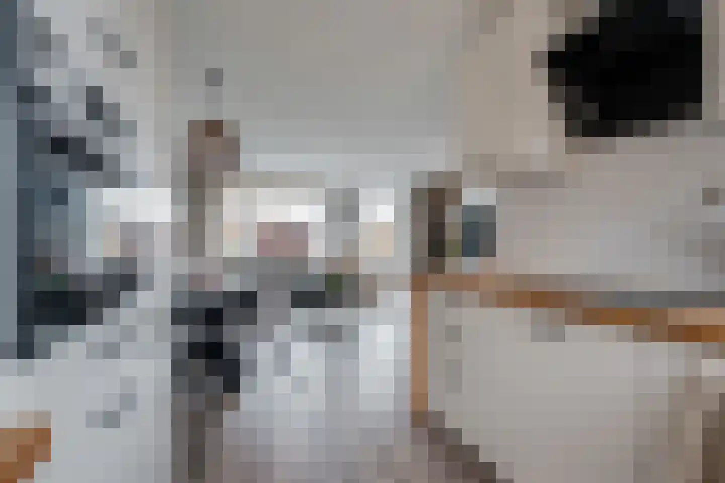 De Koningshof 5 Zwartsluis thumbnail 13