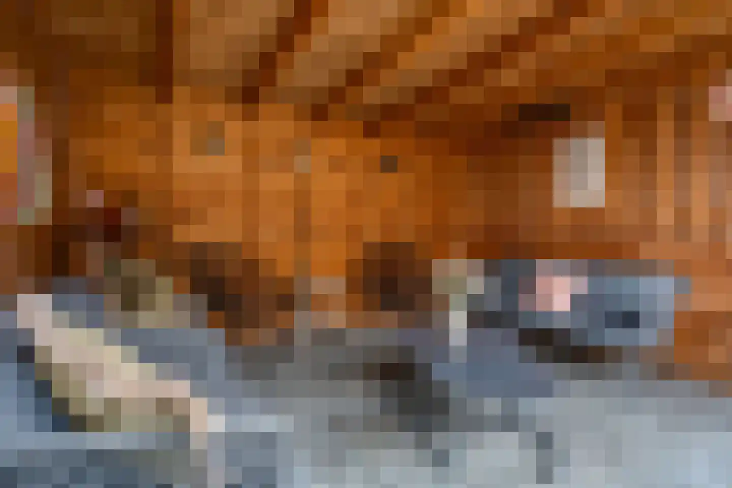 De Koningshof 5 Zwartsluis thumbnail 19