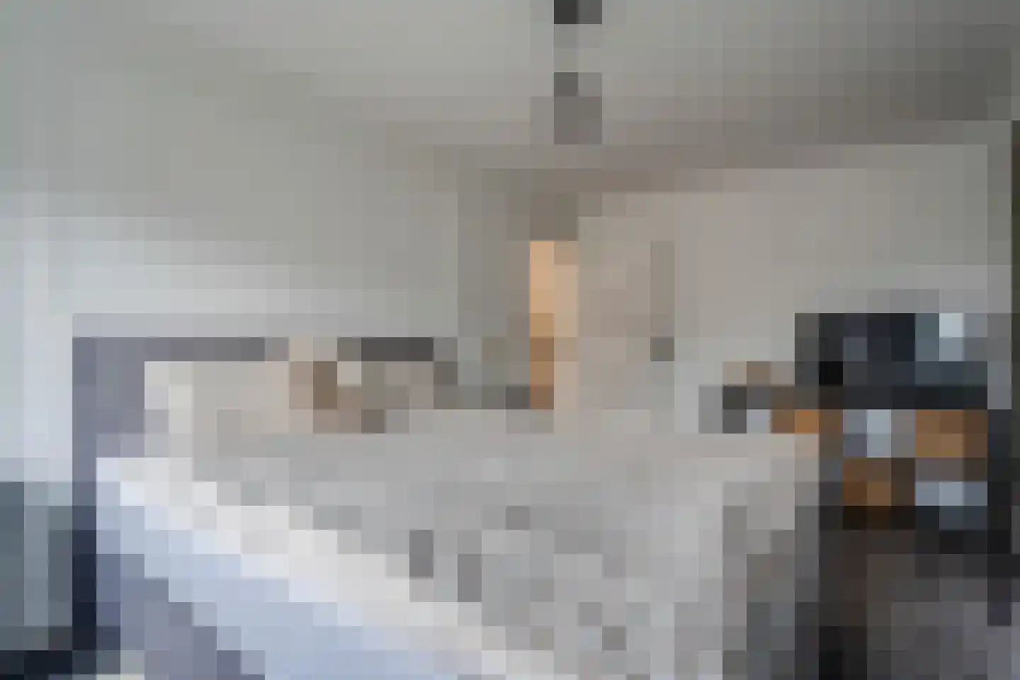 De Koningshof 5 Zwartsluis thumbnail 24