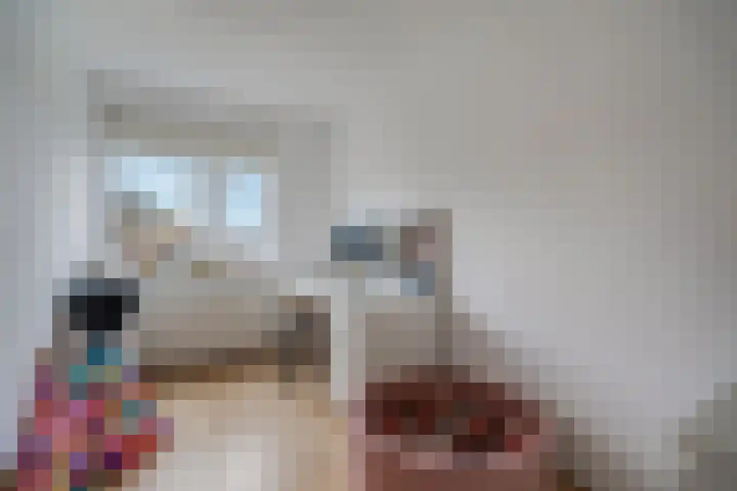 De Koningshof 5 Zwartsluis thumbnail 25