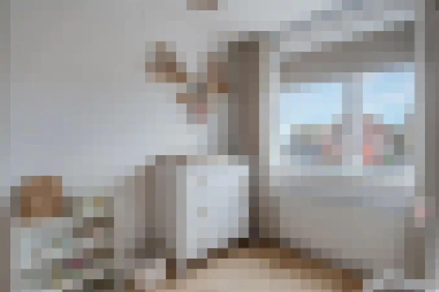 De Koningshof 5 Zwartsluis thumbnail 28
