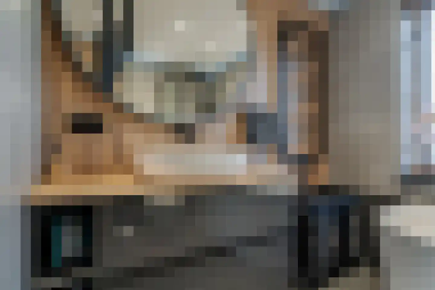 De Koningshof 5 Zwartsluis thumbnail 30