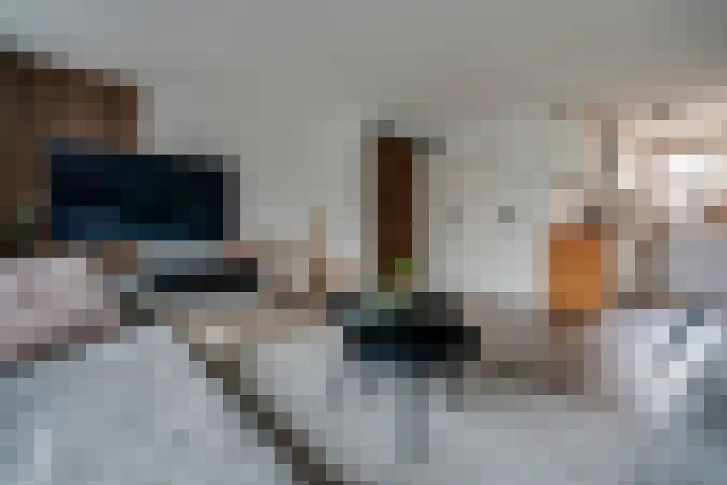 De Koningshof 5 Zwartsluis thumbnail 7