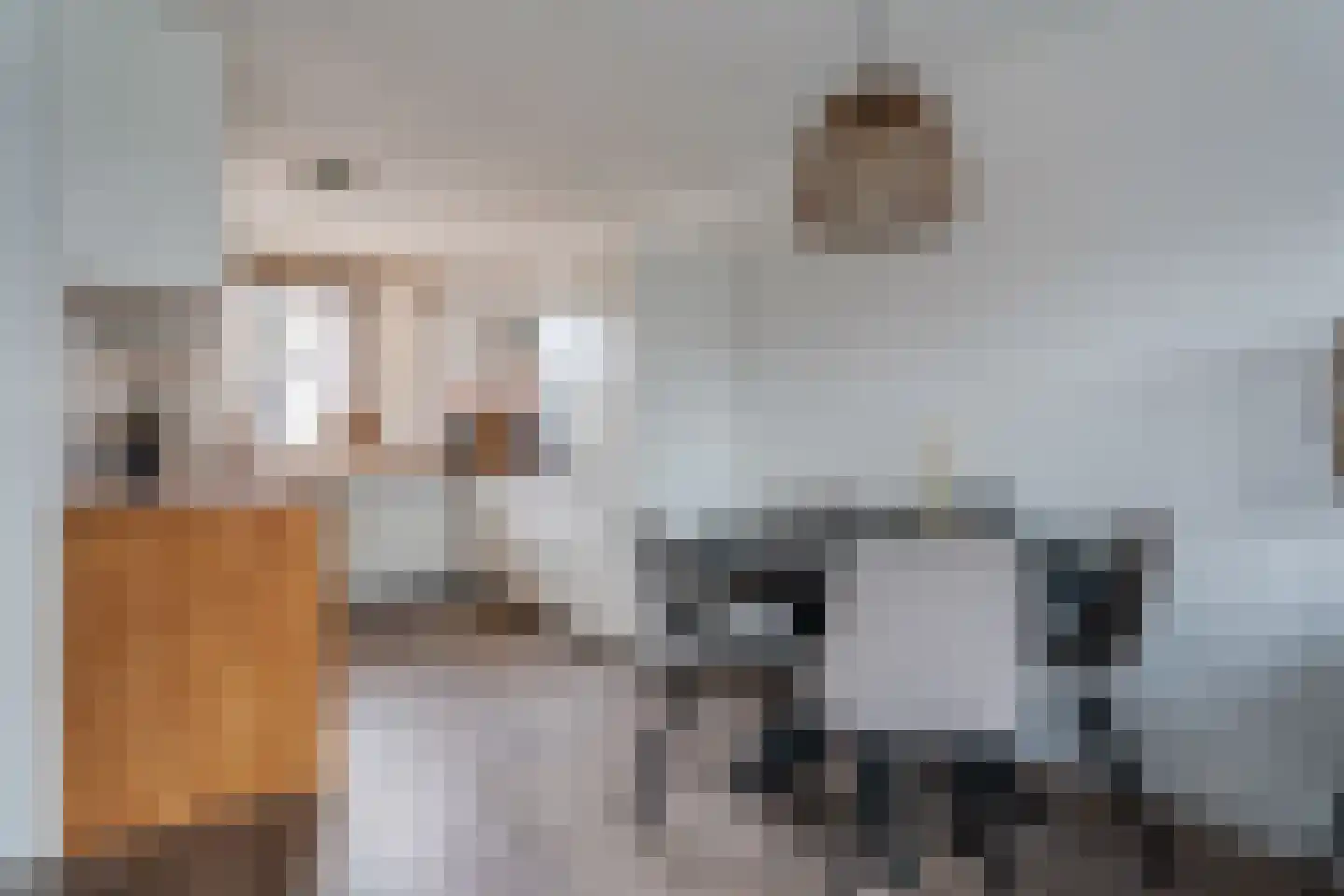 De Koningshof 5 Zwartsluis thumbnail 9