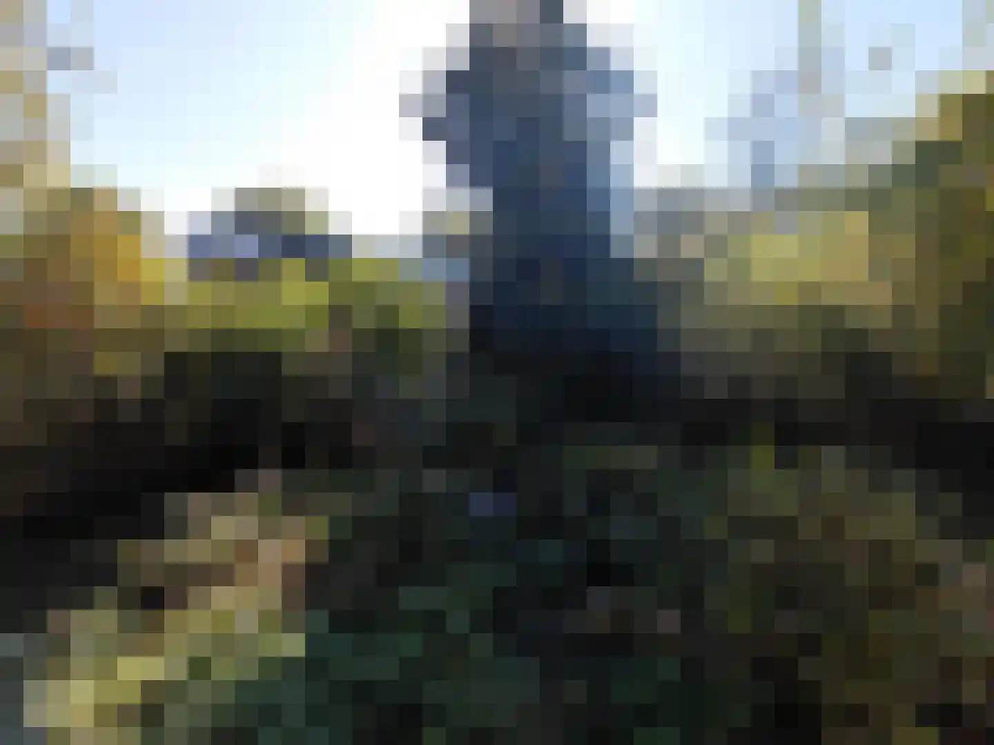 De Koningshof 66 Swifterbant thumbnail 17