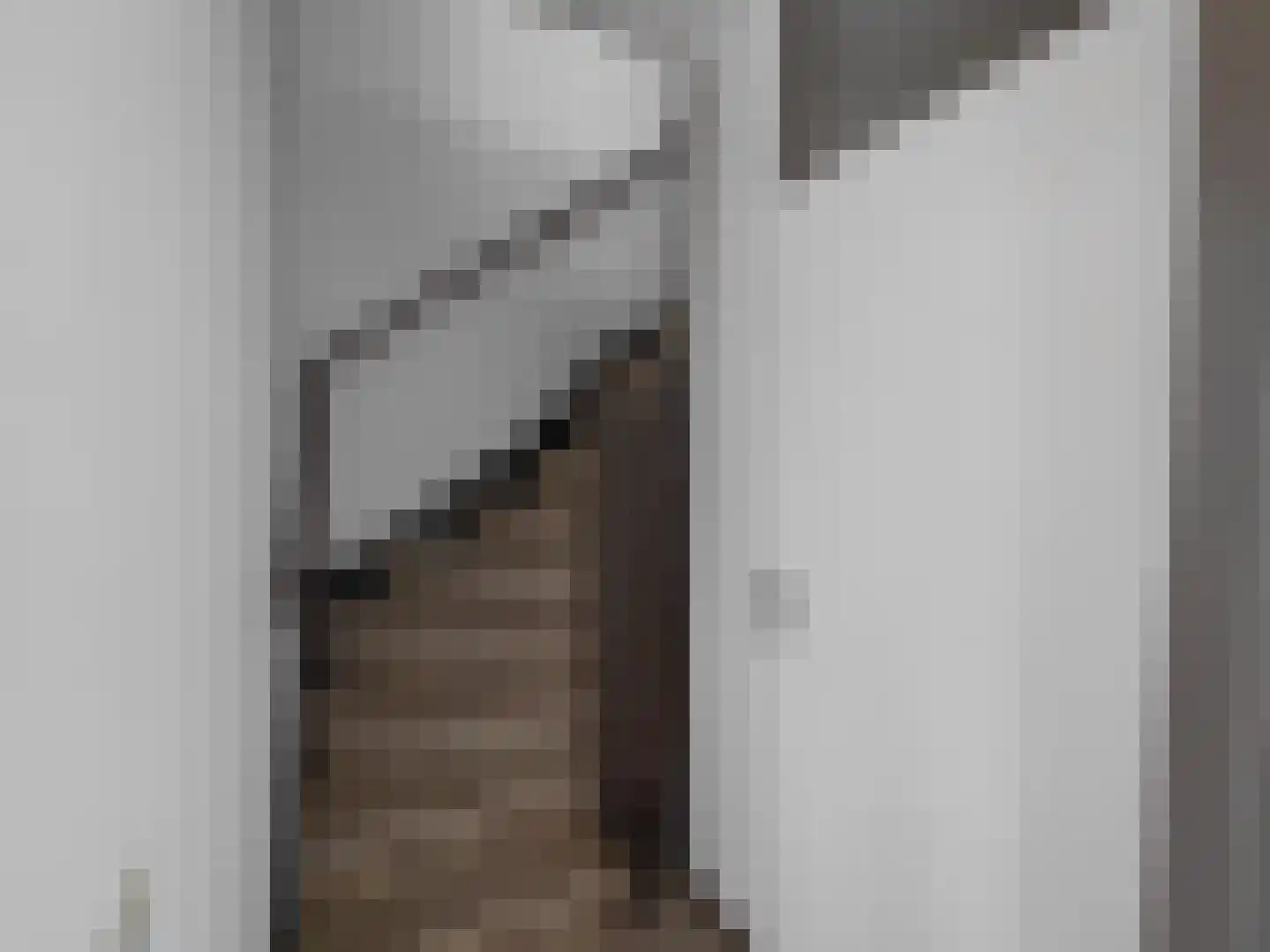 De Koningshof 66 Swifterbant thumbnail 8