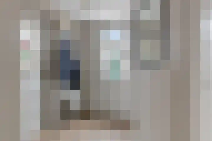 De Koningshof 7 Zwartsluis thumbnail 10