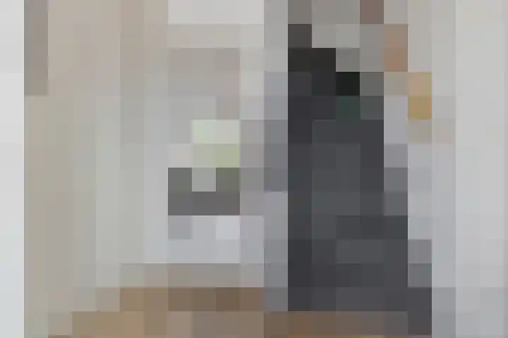 De Koningshof 7 Zwartsluis thumbnail 12