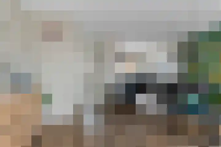 De Koningshof 7 Zwartsluis thumbnail 15