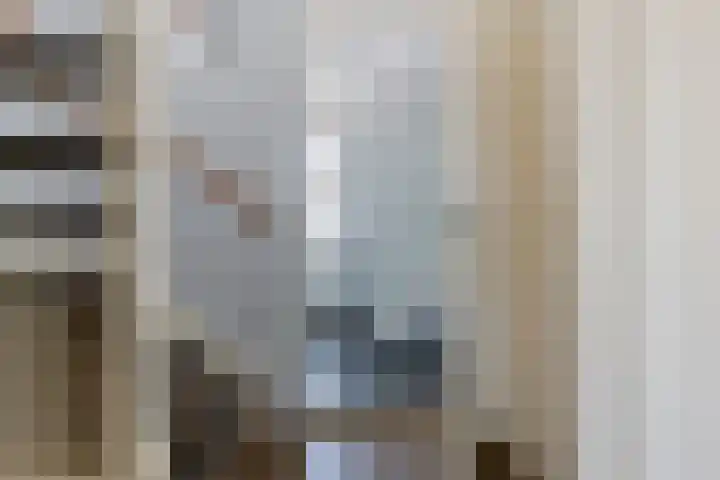 De Koningshof 7 Zwartsluis thumbnail 28