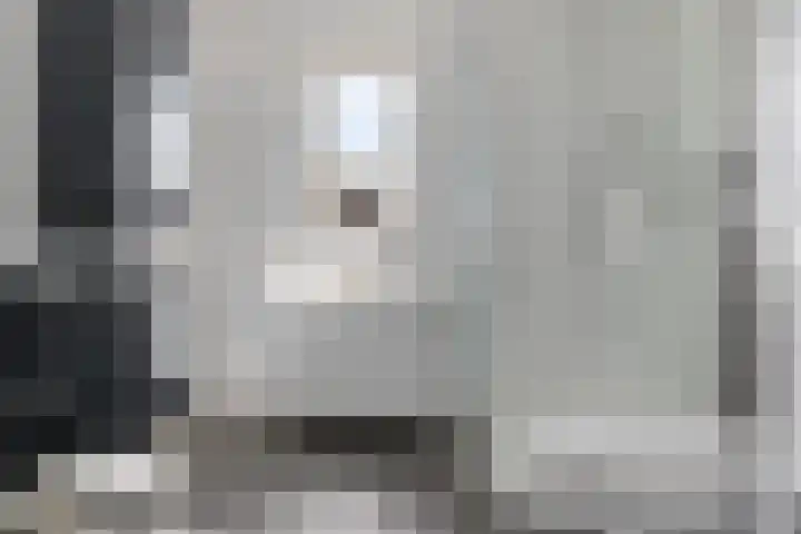 De Koningshof 7 Zwartsluis thumbnail 4