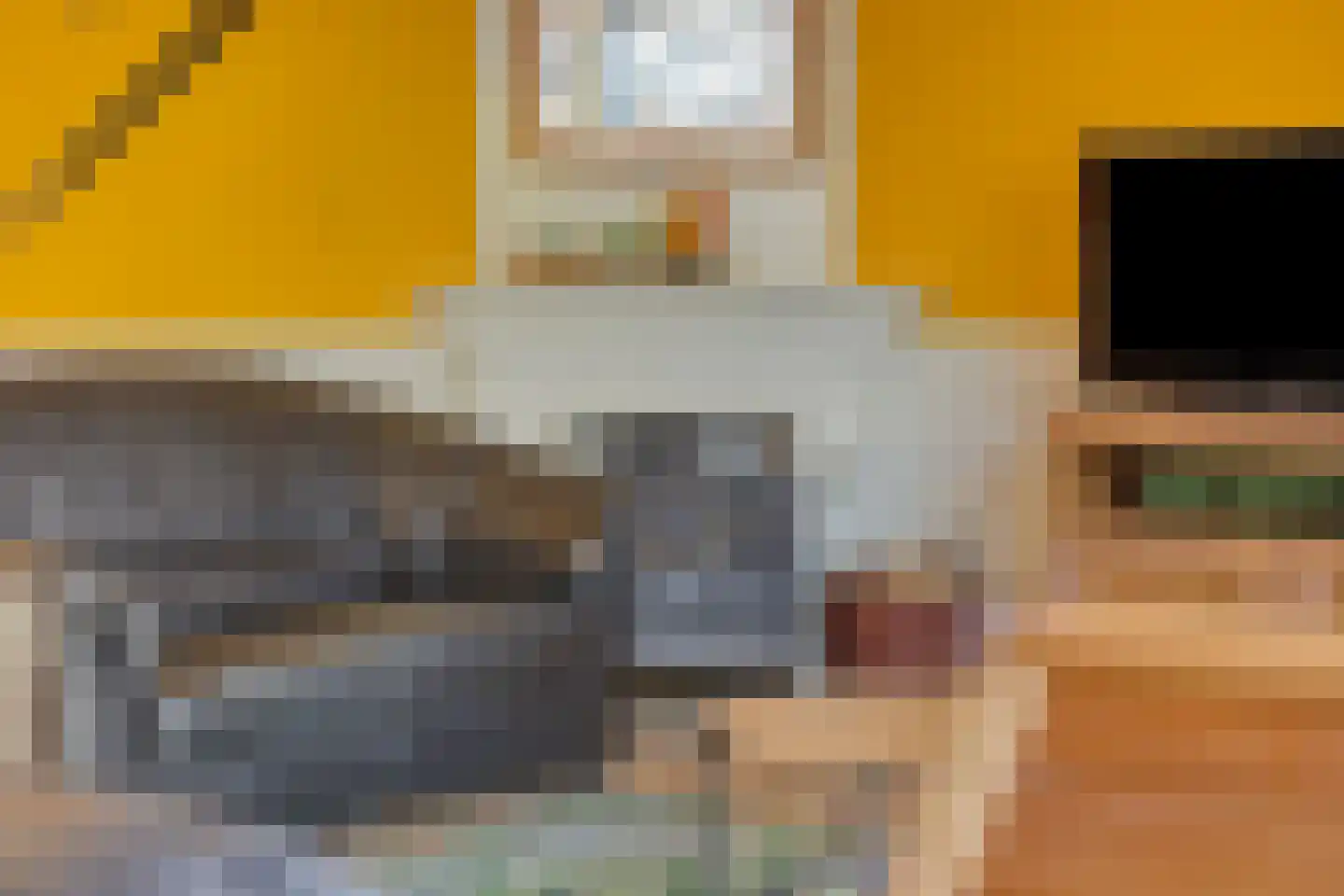 De Koningshof 72 Swifterbant thumbnail 12